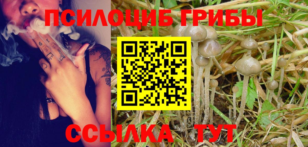 Кизляр  Галлюциногенные грибы Magic Shrooms  Вход с VPN  Псилоцибиновые грибы мухоморы 