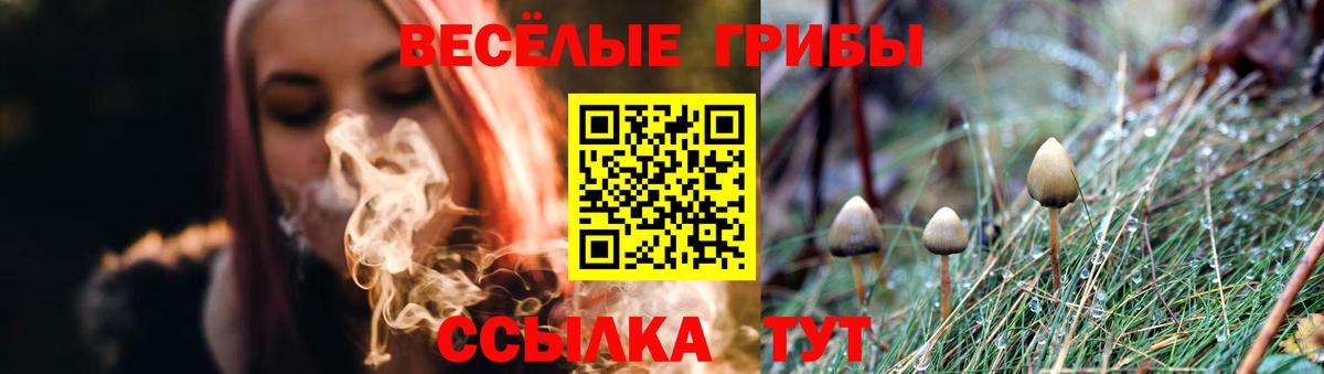 Псилоцибиновые грибы MAGIC MUSHROOMS Кизляр