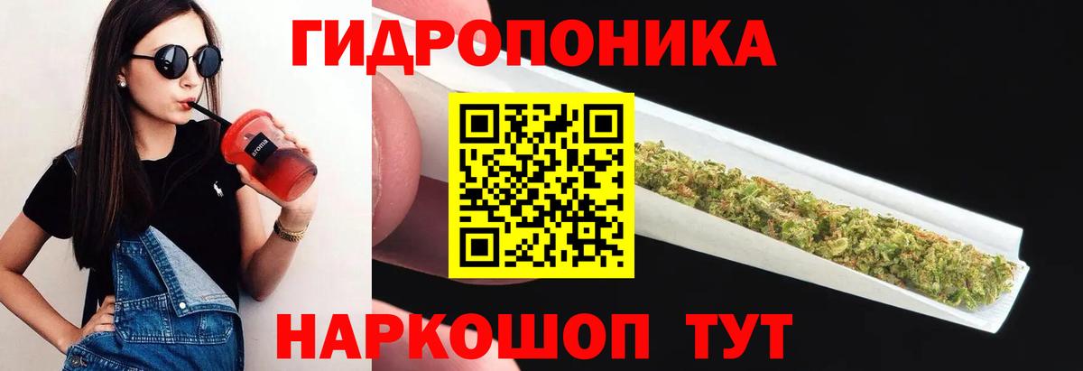 Бошки Шишки планчик Кизляр